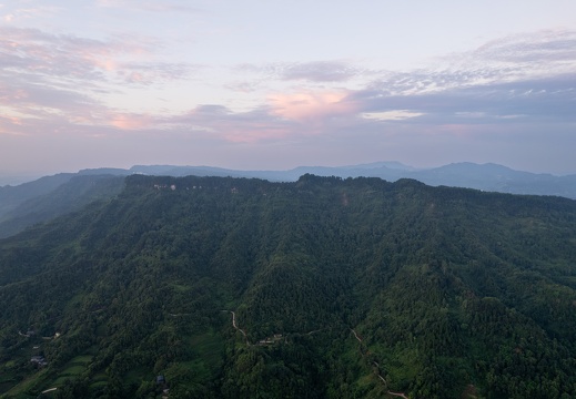 co-DJI 0395