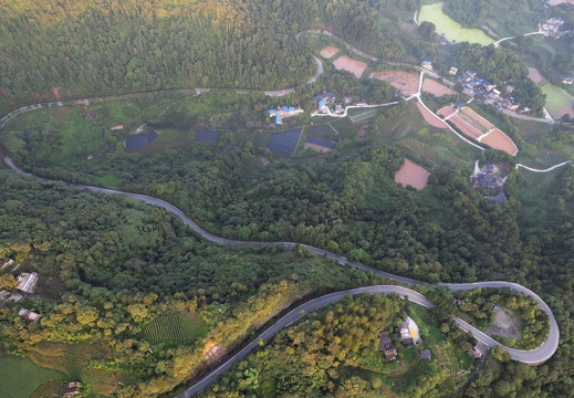 co-DJI 0423