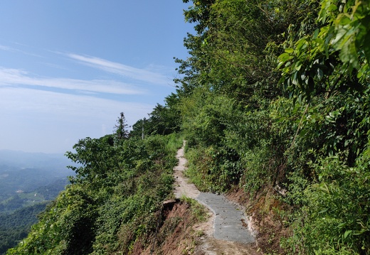 co-IMG 20230730 095553