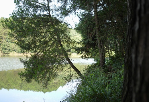co-P1090018