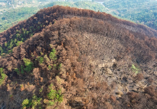 co-DJI 0022