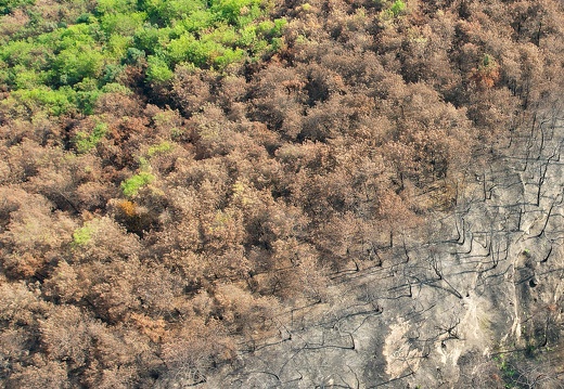 co-DJI 002628129