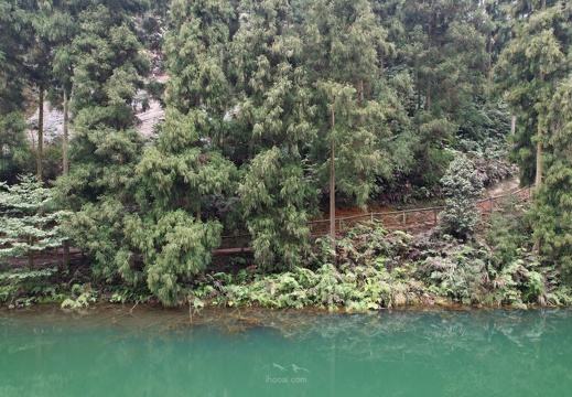 co-DJI 0006-1536x1025