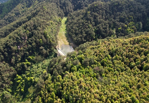 co-DJI 0106