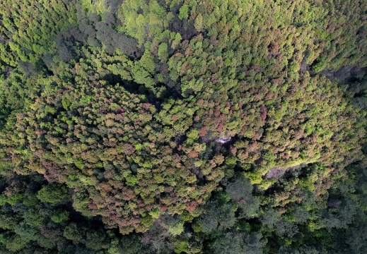 co-DJI 0113