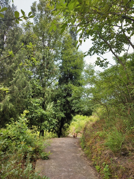 co-IMG_20230529_141532.jpg