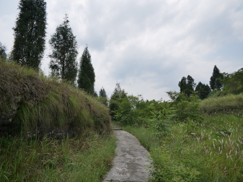 co-P1000281.jpg