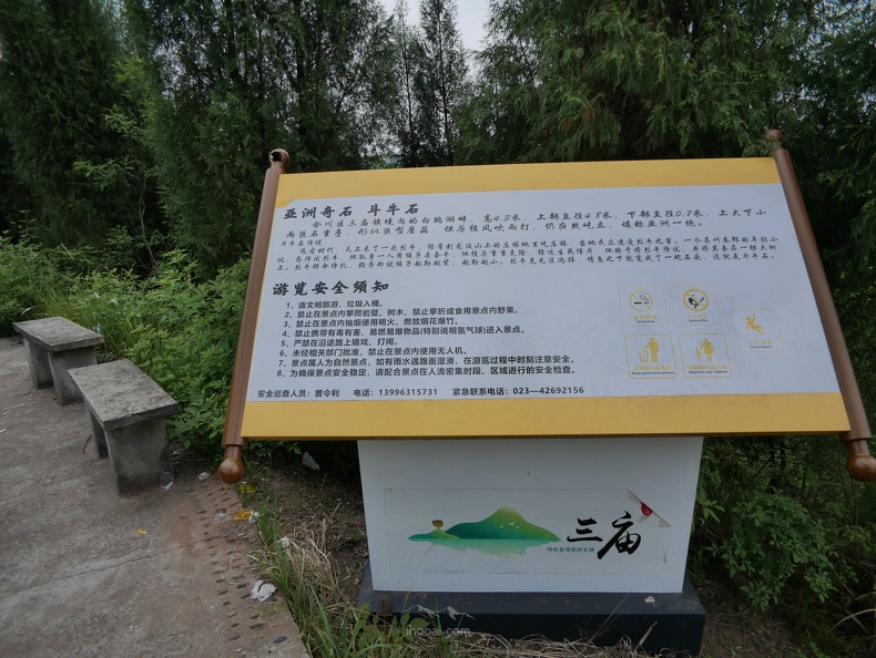 co-P1000283.jpg