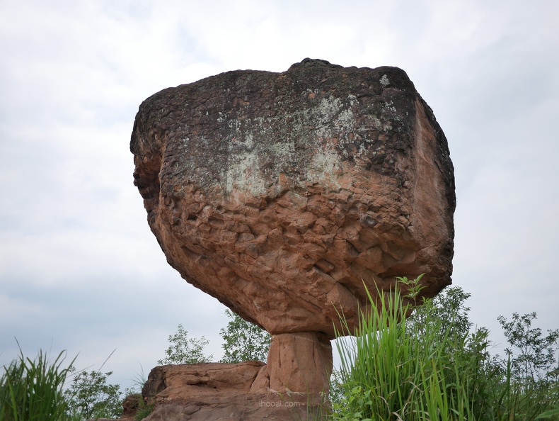 co-P1000296.jpg