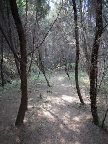 co-P1000318.jpg