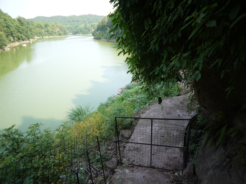 co-P1080329.jpg