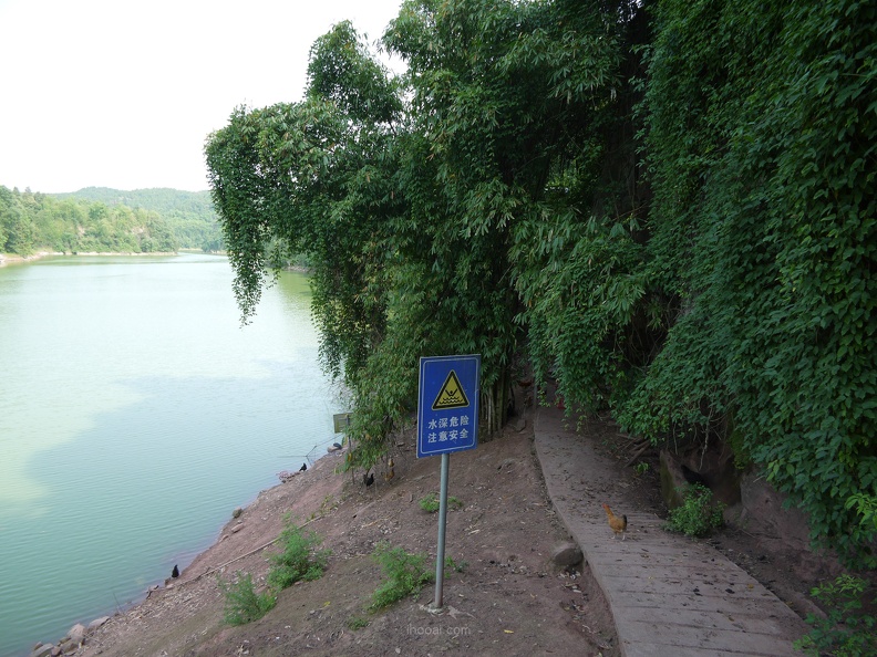 co-P1080331.jpg
