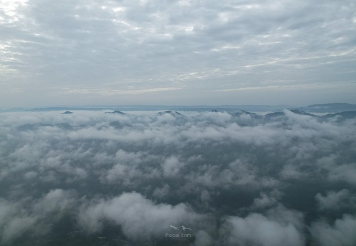 co-DJI 0337