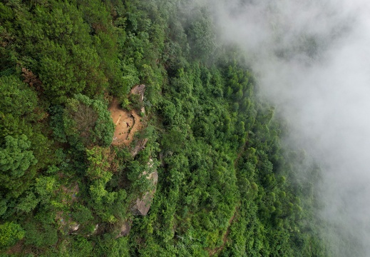 co-DJI 0355